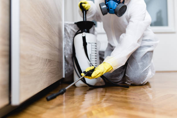 Best Commercial Pest Control Services  in Montclair, VA