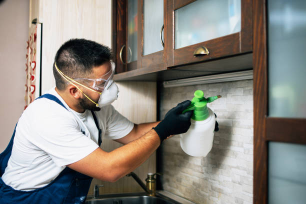 Best Affordable Pest Control Services  in Montclair, VA