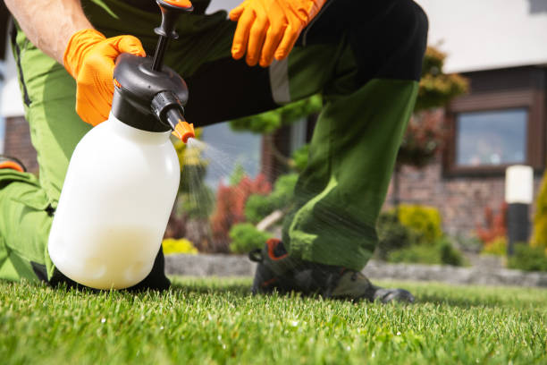 Best Pest Prevention Services  in Montclair, VA