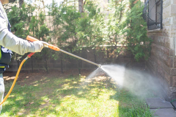 Best Rat Extermination Near Me  in Montclair, VA